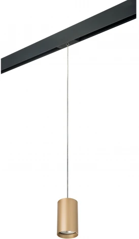 Трековый светильник однофазный 220V Lightstar Rullo PRORP440 (круглые)