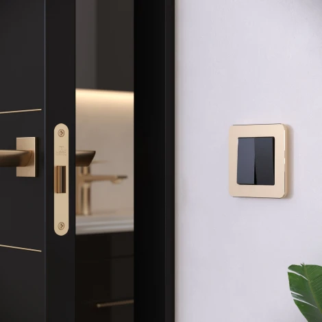 Рамка на 1 пост Platinum (шампань) Werkel W0012611 (a059210)