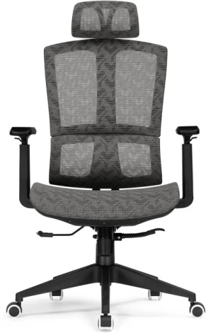 Компьютерное кресло Woodville Lanus gray / black 15567