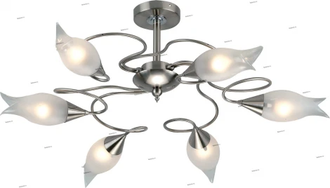 Потолочная люстра Odeon Light Ammania 1318/6