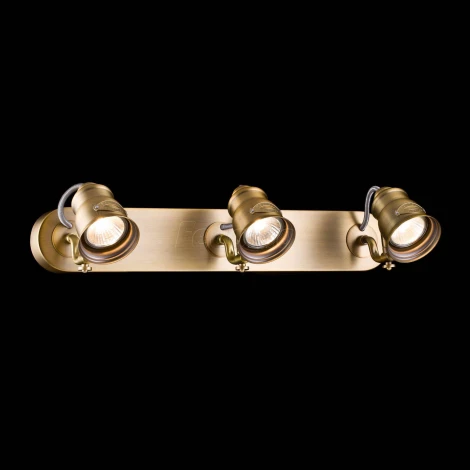 Спот Maytoni Borgo SP315-CW-03-BS