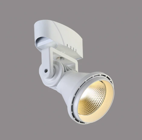 Спот Favourite Projector 1767-1U