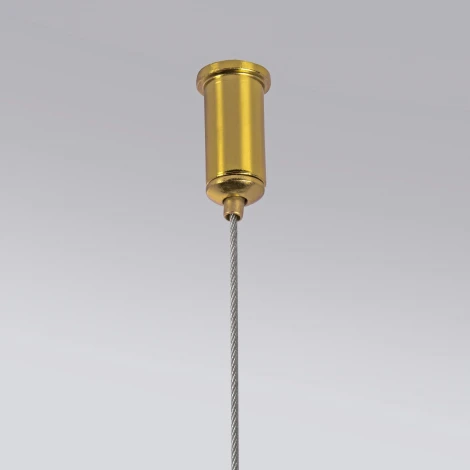 Подвесная люстра светодиодная Lightstar Corinto 637093 (220V, на тросе)