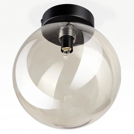 Потолочный светильник в форме шара Citilux Orton CL202511 (220V, шар)