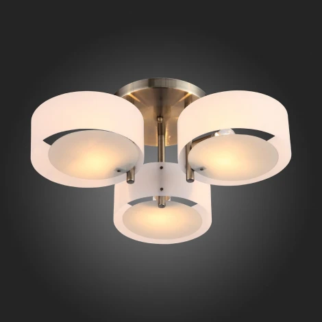 Потолочная люстра ST Luce Foresta SL483.352.03