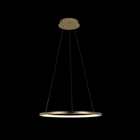 Подвесной светильник Loft IT Ring 10014M (LED, 220V, на тросе, кольцо)