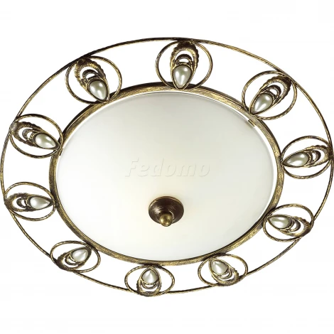 Настенно-потолочный светильник Odeon Light Kanti 3484/2C