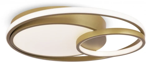 Потолочный светильник Freya Naton FR10028CL-L80G