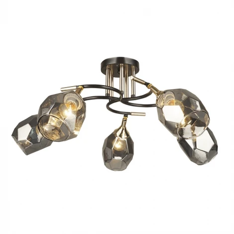 Потолочная люстра Wedo Light Anione 66554.01.15.05