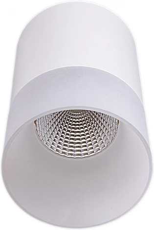 Точечный светильник светодиодный Reluce 30410-9.5-001RT LED10W WT (220V)