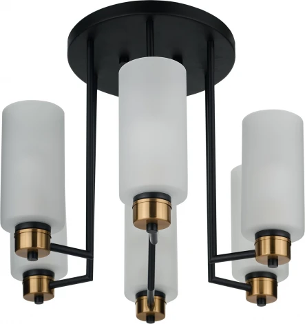 Потолочная люстра на штанге 33 Идеи CHN900.06.BL17.ASB-S16WH (220V)