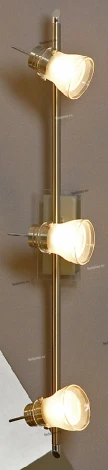 Настенно-потолочный светильник Lussole Asseggiano LSL-7601-03