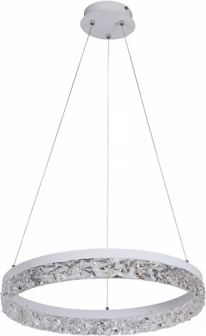 Подвесной светильник светодиодный с пультом Reluce 02412-0.4-500 (220V, на тросе, кольцо)