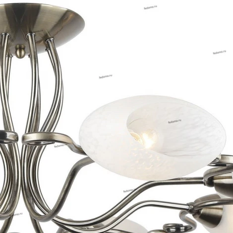 Потолочная люстра Arte Lamp Selection A6200PL-8AB
