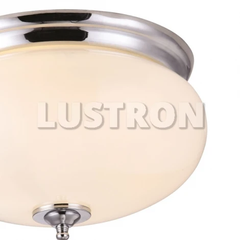 Потолочный светильник Arte Lamp Armstrong A3560PL-2CC
