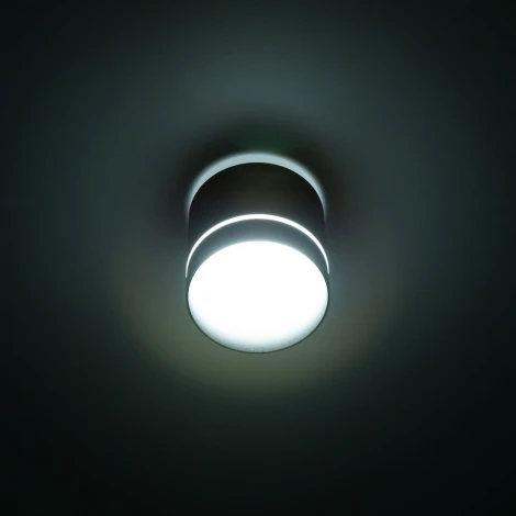 Накладной точечный светильник Citilux Борн CL745021N (LED, 220V, диммер, круглые)