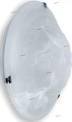 Настенно-потолочный светильник Toplight Clare TL9101Y-02TR
