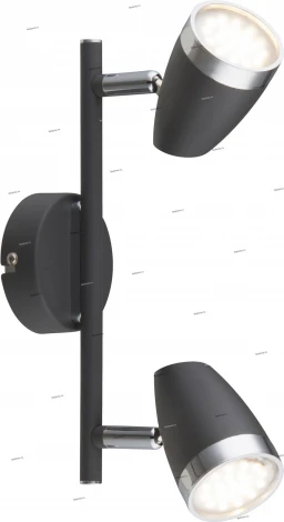 Спот Globo Nero 56110-2