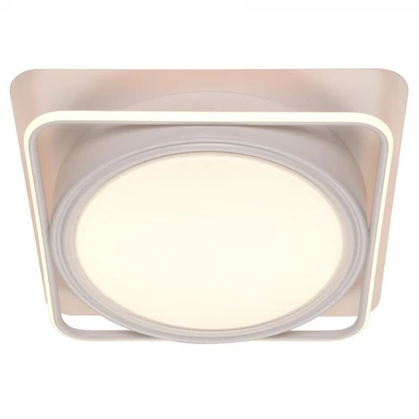 Потолочный светильник Adilux 1041