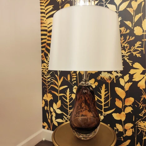 Интерьерная настольная лампа Cloyd Agar 30082 (220V)