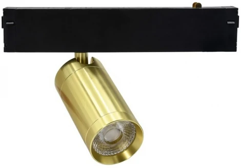 Трековый светильник магнитный 220V 9W Aployt Magnetic track 220 APL.0205.10.09 (LED, круглые)