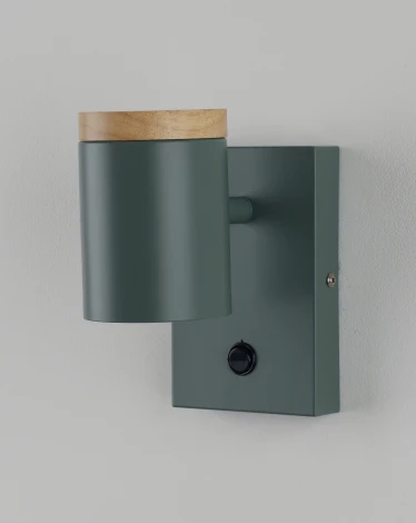 Спот с выключателем Moderli Asheswood V11294-1W (220V)