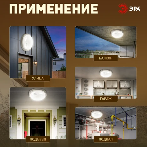 Потолочный светильник светодиодный с ИК датчиком движения ЭРА SPB-2 SPB-201-3-40K-008