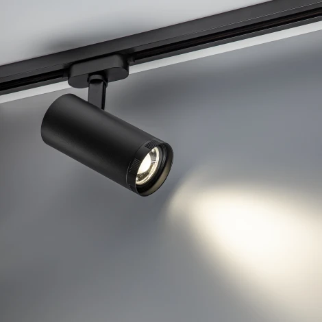 Трековый светильник однофазный 220V Ritter Artline 59741 8