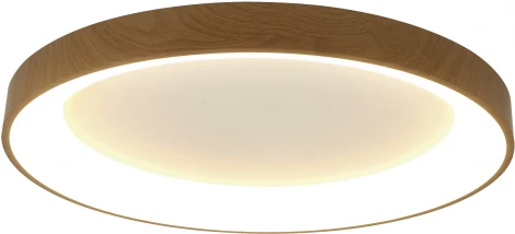 Потолочный светильник круглый Mantra Niseko 8586 (регулировка яркости, LED, 220V, пульт управления, круглые)