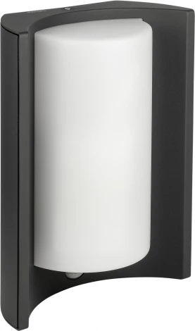 Настенный светильник уличный Oasis Light SIDNEY 0645 Gr (220V, IP44)