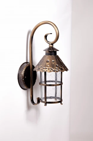 Настенный фонарь уличный Oasis Light Caior L 81502/18