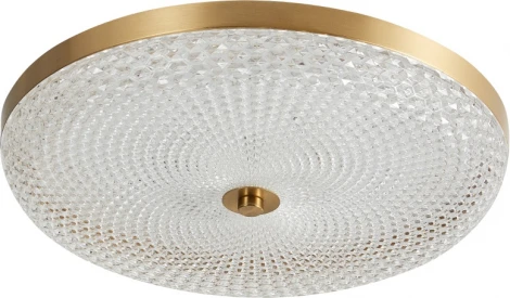 Потолочный светильник светодиодный Arti Lampadari Viro Viro L 1.13.45x8 G