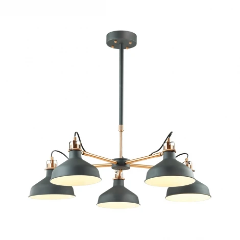 Потолочная люстра Odeon Light Lurdi 3329/5