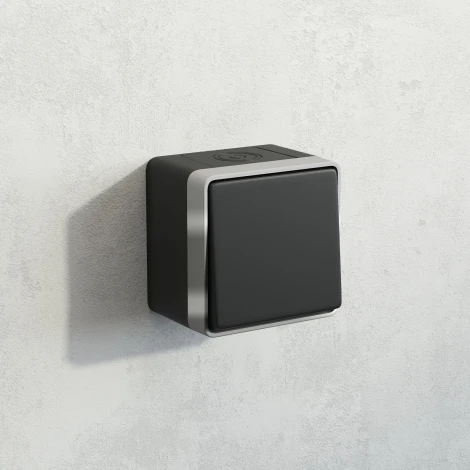 Выключатель одноклавишный влагозащищенный Gallant Werkel W5010234 (черный с серебром)