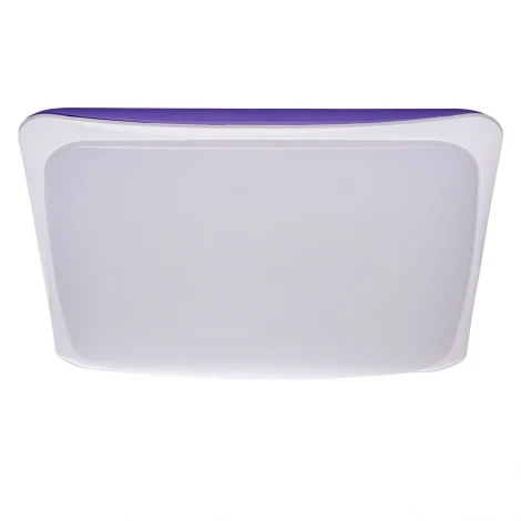 Потолочный светильник DeMarkt Ривз 674014501