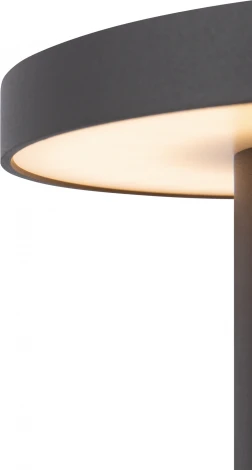 Наземный светильник Maytoni Wald O420FL-L12GF (LED, 220V, IP65)