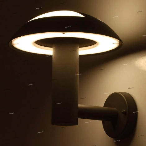 Настенный светильник уличный MW-Light Меркурий 807022401