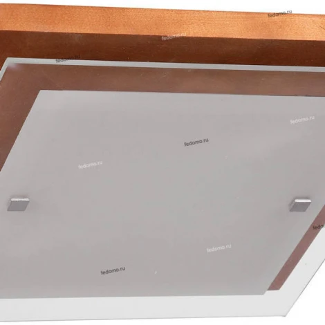 Настенно-потолочный светильник Дубравия Эко 106-21-22/1H