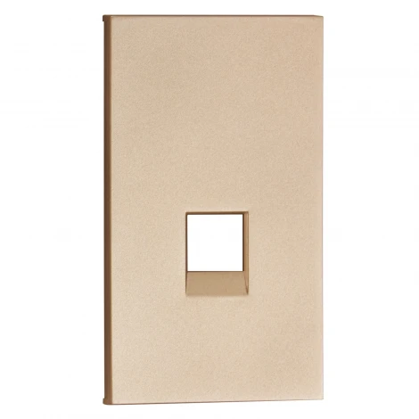 Интернет RG-45/RG11 накладка 2-ух модульная шампань матовый Meiton ACH07M2