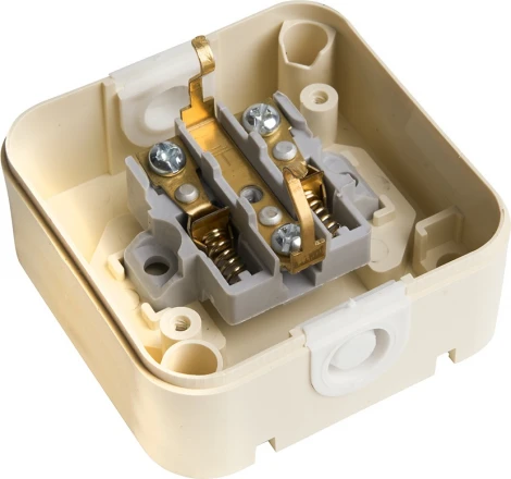 Розетка с заземлением и защитной крышкой (слоновая кость) Stekker Брест 49058