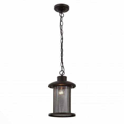 Уличный светильник подвесной ST Luce Lastero SL080.403.01 (220V, на цепи, IP54)