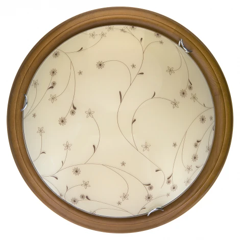 Настенно-потолочный светильник Toplight Karissa TL9650Y-00OA (LED, 220V, дуб)