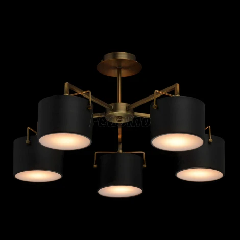 Потолочная люстра MW-Light Сайрус 721010205