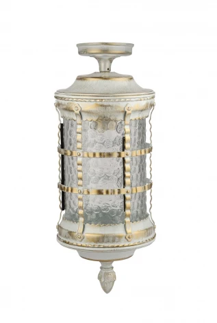 Потолочный светильник уличный Oasis Light BARSELONA 81205A cover Gw (220V, IP44)