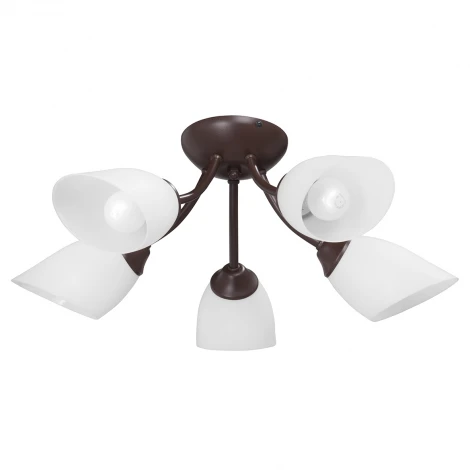 Потолочная люстра Vitaluce V3404/5PL (220V)