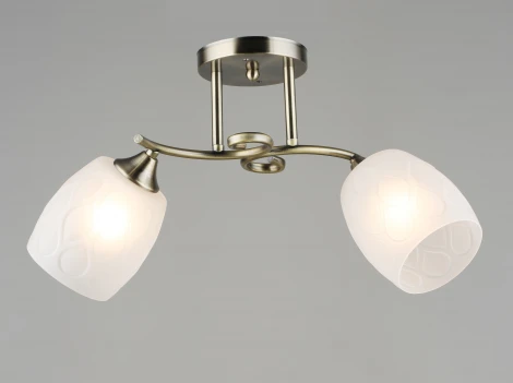 Потолочная люстра на штанге Мелодия Света SL1N SL8438-2 AB 000066056