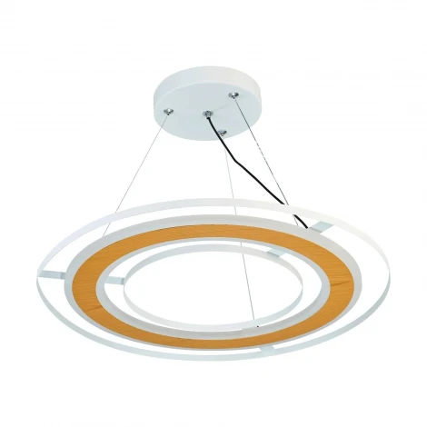 Подвесной светильник светодиодный с ПДУ F-Promo Rotas 4696-4P 3000-6000K