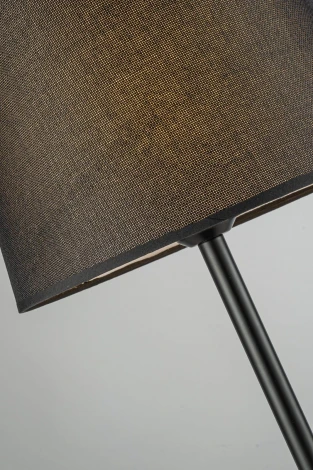 Интерьерная настольная лампа Arti Lampadari Oggebio Oggebio E 4.1.T1 BK