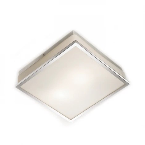 Настенно-потолочный светильник Odeon Light Tela 2537/1A