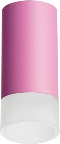 Точечный накладной светильник Lightstar Rullo R43231 (220V, круглые)